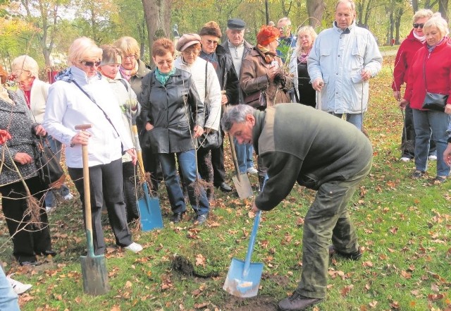 Po każdej inauguracji roku akademickiego nowi słuchacze posadzą drzewka.