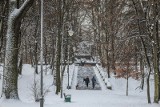 Park Kościuszki w Katowicach to doskonałe miejsce na spacer – w zimowej scenerii wygląda bajkowo. Zobacz ZDJĘCIA