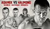 WALKA ADAMEK 2017. ADAMEK vs HAUMONO NA ŻYWO POLSAT BOXING NIGHT 7 [TRANSMISJA ONLINE] 