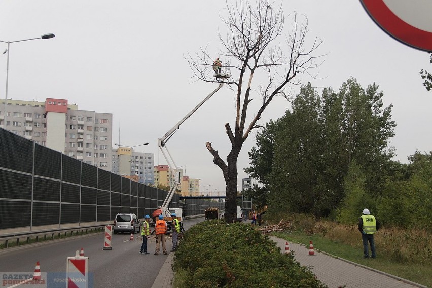 W środowy poranek pracownicy Miejskiego Zarządu Usług...