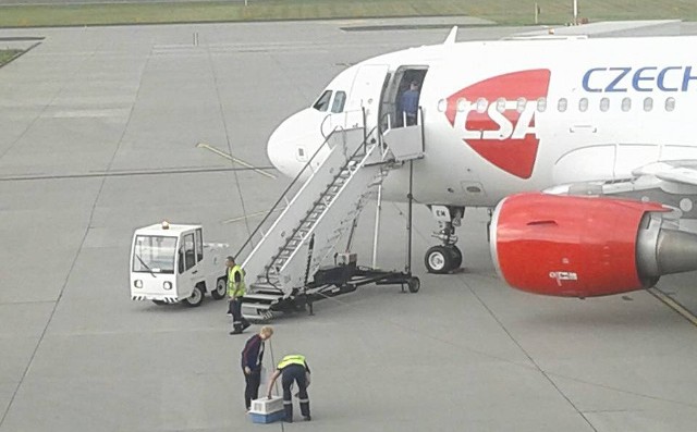 Terier Messi został w Łodzi zapakowany do luku bagażowego. Jednak na lotnisku w Edynburgu trudno było go odzyskać