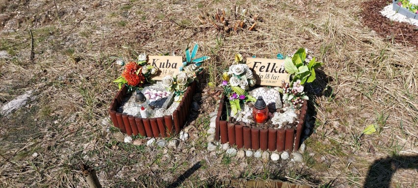 Tak wygląda nielegalny cmentarz dla zwierząt we Włocławku....