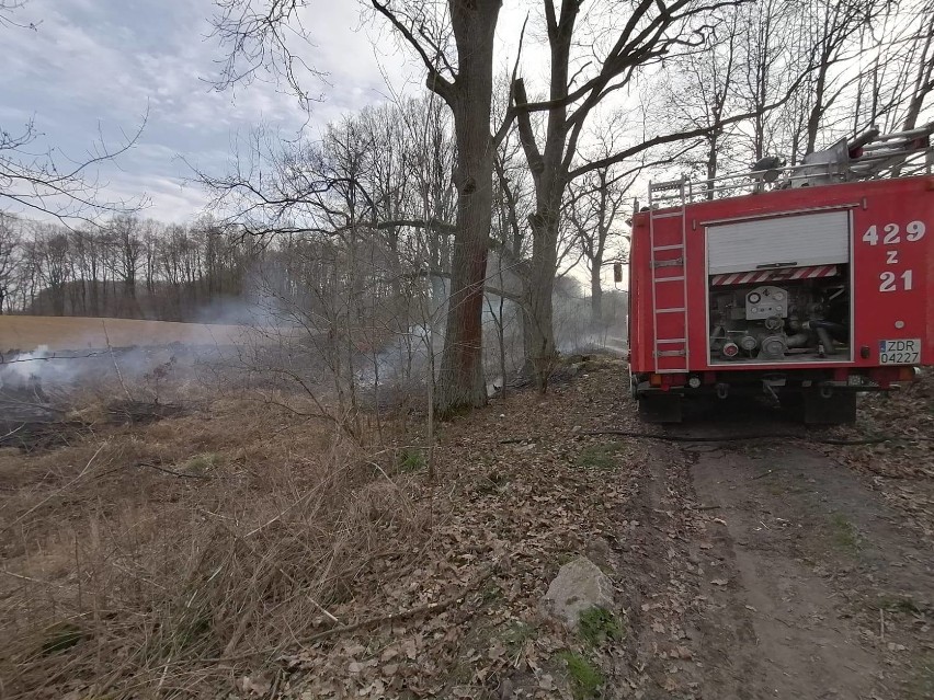Pożar traw koło Czaplinka. Strażacy z OSP gasili ogień [zdjęcia]