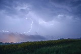 Nasz Czytelnik uchwycił burzę nad Czerwieńskiem. Zagrzmiało, pobłyskało i w końcu mocno lunęło. Studzienki nie nadążały z odbiorem wody