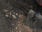 Na Mostowej w Bydgoszczy archeolodzy odkryli kolejne szkielety [zdjęcia]