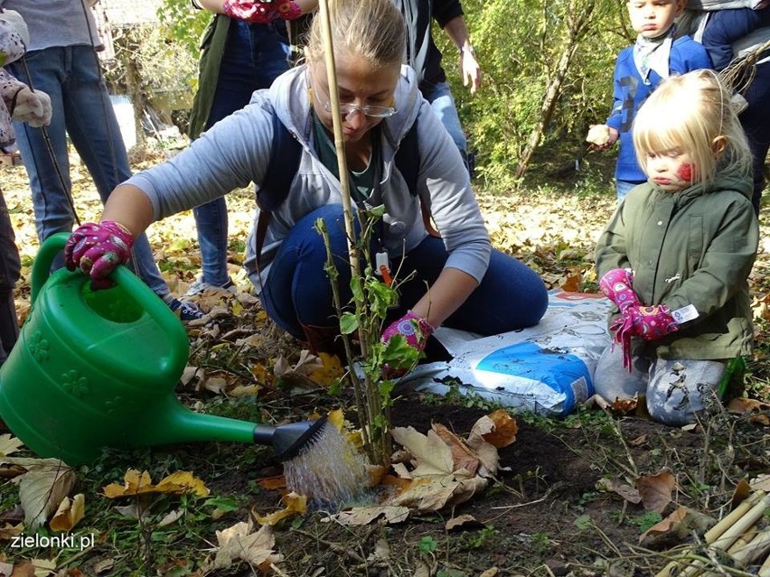 Półdziki skwer w Zielonkach pod lupą najmłodszych odkrywców przyrody