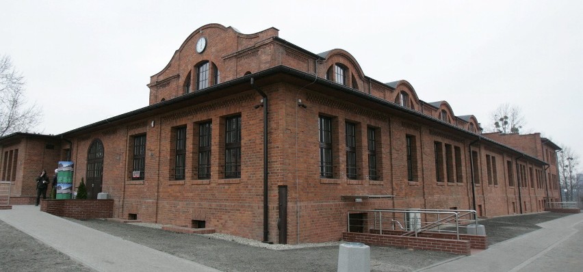 Teatr Tańca i Ruchu Rozbark ma zastąpić Śląski Teatr Tańca i...