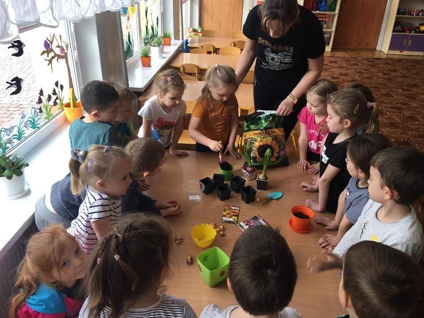 Pierwszy dzień wiosny w przedszkolu w Sędziszowie. Dzieci z...