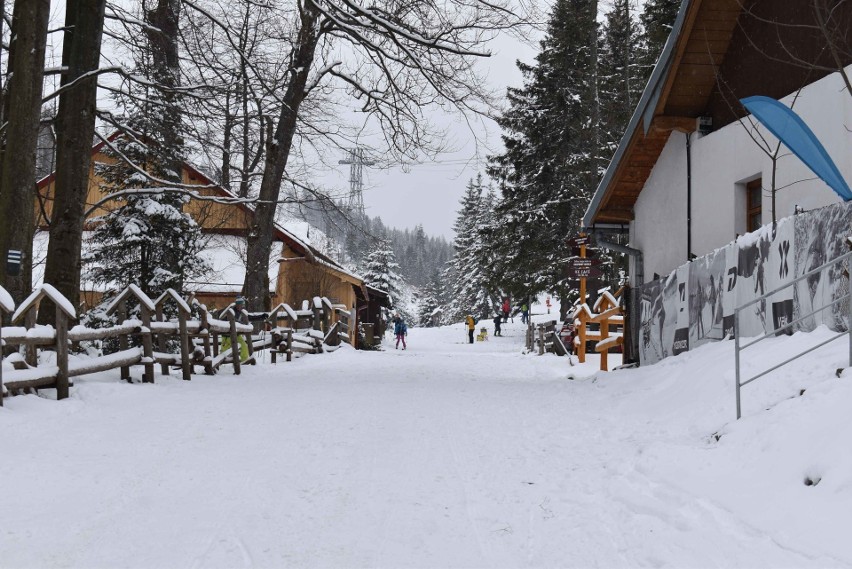Tatry. Miejscowi spędzają niedzielę na nartach. To jednak garstka ludzi  