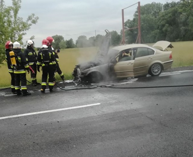 Do pożaru samochodu doszło w środę, 13 czerwca, na drodze krajowej nr 22 w Krasowcu koło Gorzowa. Na szczęście nikomu nic się nie stało.Samochód bmw zapalił się podczas jazdy. Kierowca zjechał na pobocze, ale przód auta był już wtedy w płomieniach. Na miejsce przyjechała wezwana straż pożarna. Strażacy szybko opanowali pożar. Samochód nie nadje się już jednak do użytku. Przód spłonął całkowicie.Prawdopodobnie pożar wywołało spięcie w instalacji elektryczne przy żarówce.Zobacz też wideo: Podniebna Zielona Góra, odc. 1POLECAMY PAŃSTWA UWADZE: 