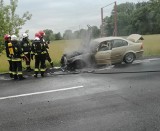 Pożar bmw na drodze krajowej nr 22 w Krasowcu koło Gorzowa. Samochód zapalił się w czasie jazdy [ZDJĘCIA]