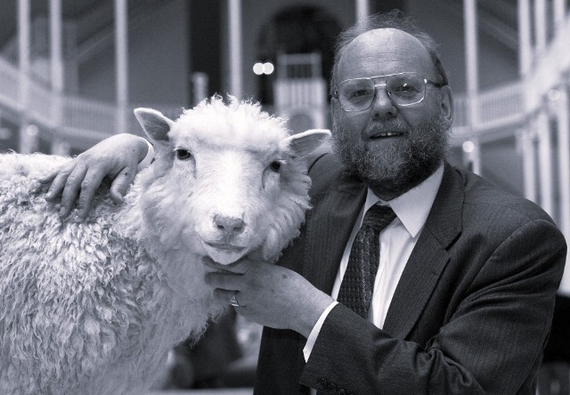 Zmarł sir Ian Wilmut. Był jednym z liderów zespołu, który stworzył sklonowaną owcę Dolly.
