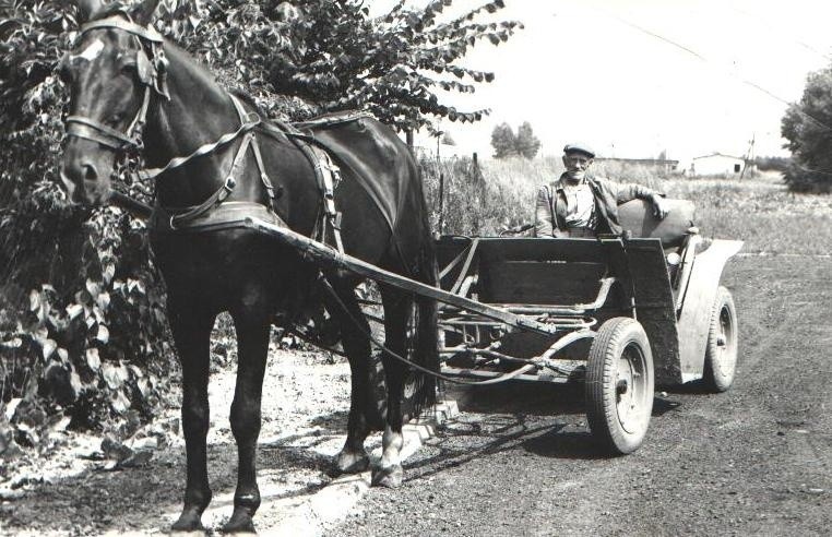 Wieś wielkopolska sprzed lat. Okolice Gniezna, 1971 rok