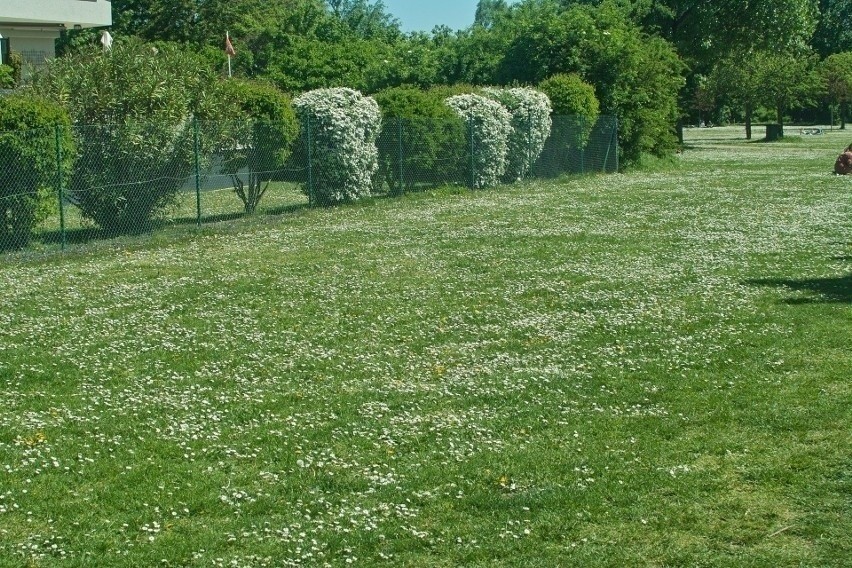 gm. Hrubieszów ,Ubrodowice, 22-500 Hrubieszów...