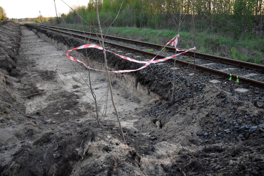 Niedaleko stacji kolejowej w Słosinku wykopano niewypał