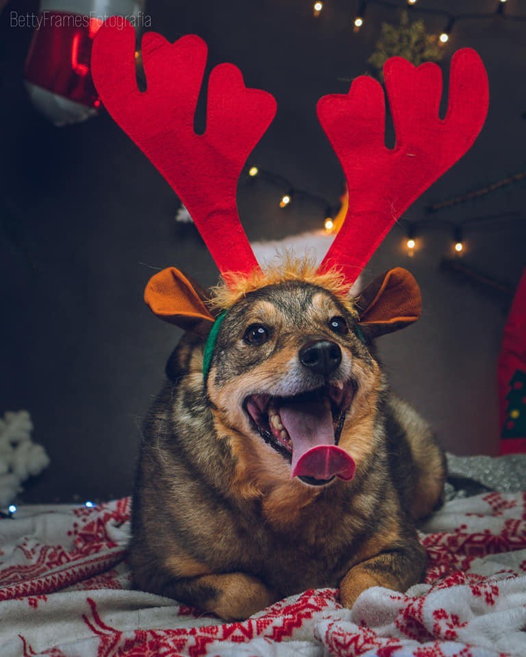 Chcesz znaleźć przyjaciela, który nigdy cię nie zawiedzie i...