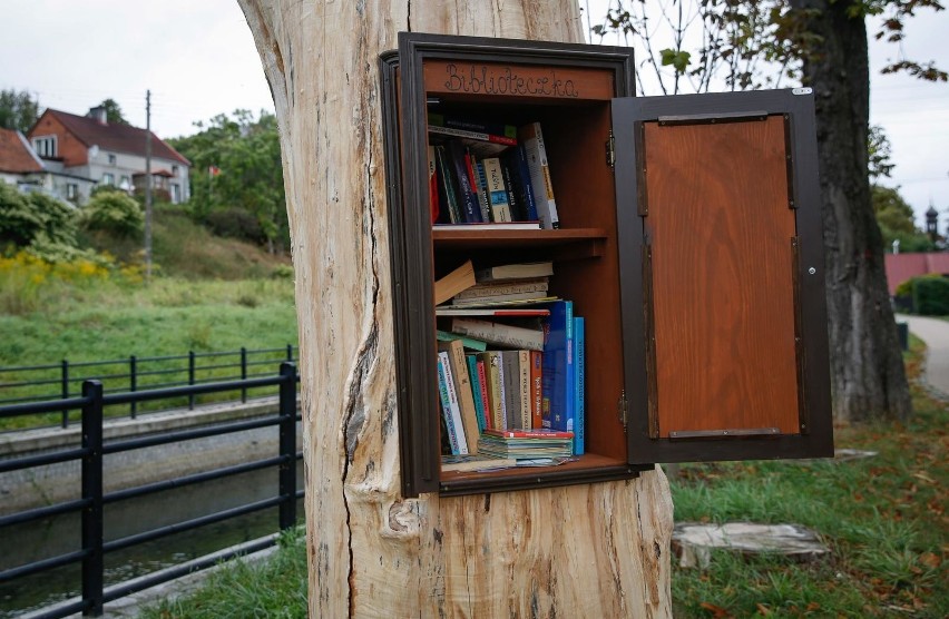 Biblioteka powstała w starym uschniętym kasztanowcu.