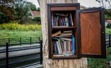 Biblioteczka w wyschniętym drzewie nad Kanałem Raduni w dzielnicy Orunia-Św. Wojciech-Lipce. Kasztanowiec zyskał drugie życie