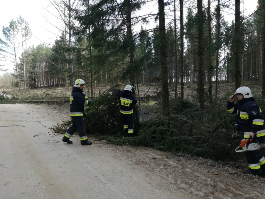 Wichury w Podlaskiem łamały drzewa i zrywały dachy. Strażacy mieli mnóstwo roboty [ZDJĘCIA]