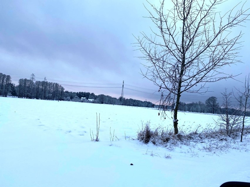 Zima 2021. Sypnęło śniegiem i zrobiło się bajkowo. Kurpie w zimowej scenerii 13.01.2021. Zdjęcia