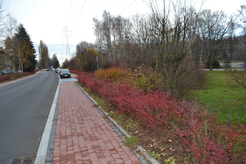 Park im. Lotników Polskich na Osiedlu Stałym w Jaworznie