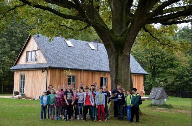 Dąb Dzidek rosnący w Sołtysach (gm. Praszka) bierze udział w konkursie Drzewo Roku 2015”, organizowanym przez ekologiczny Klub Gaja.Dzidek dostał się do finałowej szesnastki (spośród 115 zgłoszeń z całej Polski) jako jedyne drzewo z Opolszczyzny.To dąb bezszypułkowy. Ma około 250 lat, 4 metry w obwodzie i jest wysoki na 22 metry. Dąb rośnie w ogrodzie dawnej leśniczówki, którą kupiła Anna Jasińska. Głosowanie potrwa do końca czerwca na stronie  www.drzeworoku.plKażdy internauta może oddać tylko jeden głos. Dzidek na razie jest na przedostatnim miejscu, więc każdy głos jest na wagę złota.