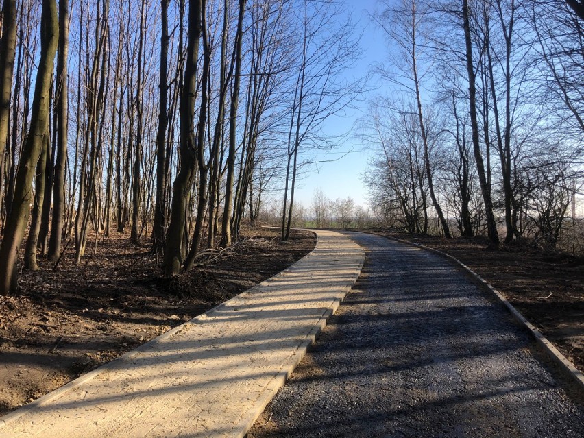 W Piekarach Śląskich trwa budowa ścieżki rowerowej na Księżą...