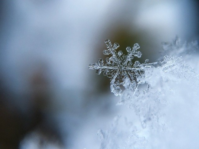 W styczniu 2020 będzie dużo deszczu, ale też temperatura może spaść nawet do - 17 stopni Celsjusza.