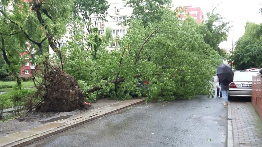 Najgorzej jest na ul. Fredry, Piłsudskiego, Czarneckiego i...