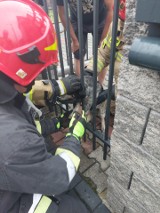 Jędrzejowscy strażacy pomogli uwięzionemu zwierzakowi