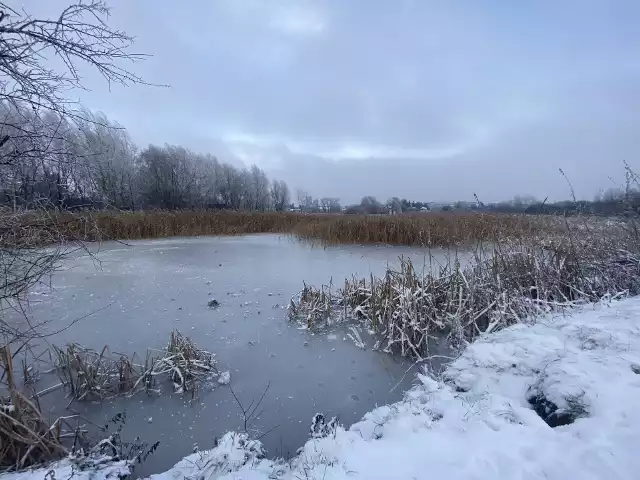 Miejsca zagrożone powstaniem zalewisk. Na zdj. tereny przy centrum handlowym Omni w Olkuszu