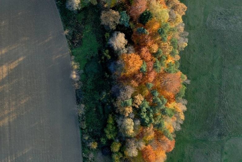 Tak wygląda Nowa Huta. Zobacz niesamowite zdjęcia z lotu ptaka 