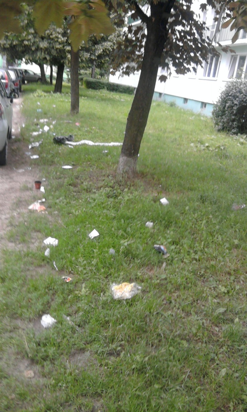 Osiedlowe wysypisko śmieci na Dąbrowie