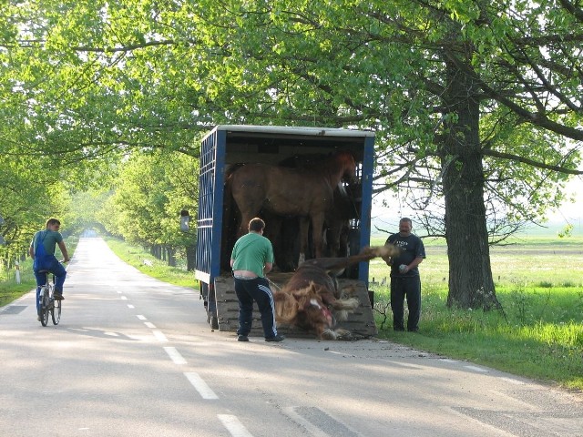 Zdjęcie od Czytelnika.