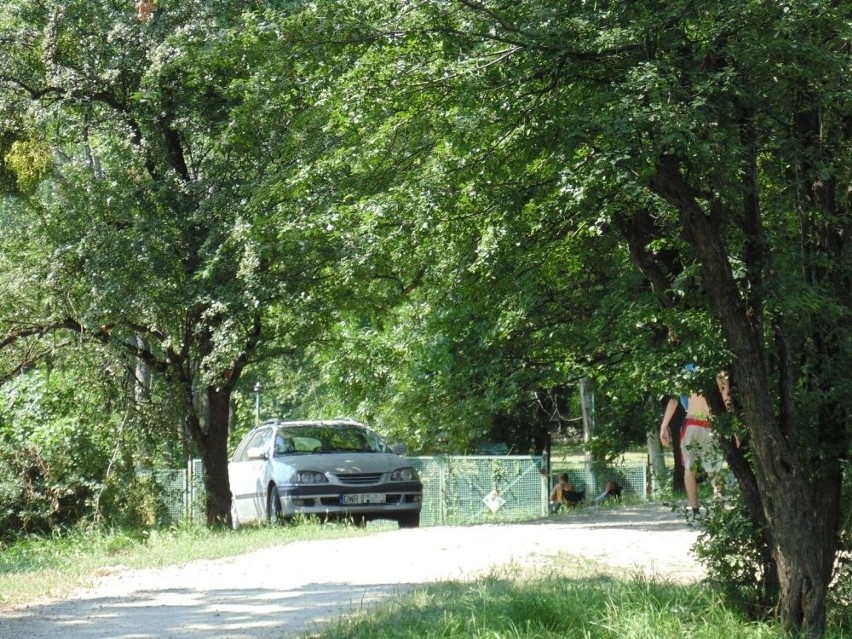 Samochody rozjeżdżają wały na Osobowicach