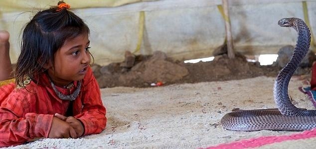Indiańska wioska, w której dwuletnie dzieci uczą się zaklinania węży