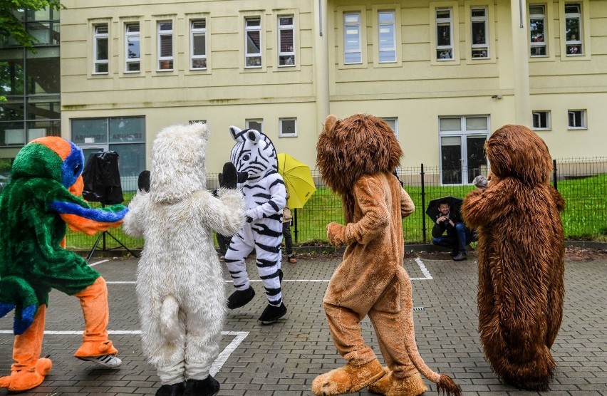 Pluszowe zwierzęta zatańczyły dla małych pacjentów UCK w...