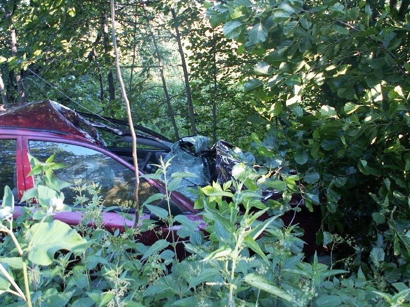 Krowa wybiegła pod samochód. Dwie osoby trafiły do szpitala, zwierze padło (zdjęcia)