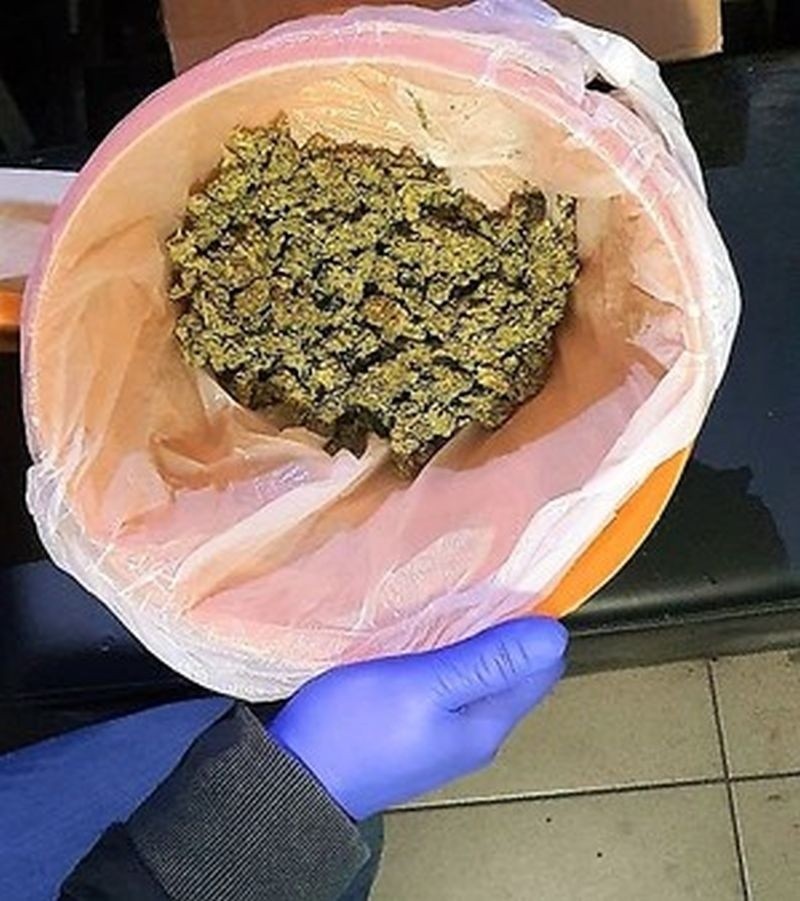Plantacja marihuany w powiecie ostrołęckim. Policja znalazła ponad 2 kg narkotyków i 78 krzaków konopi indyjskich. 16.03.2023. Zdjęcia