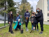 Powiat myślenicki. Przedszkolaki i uczniowie sadzą drzewa. Tak świętują Światowy Dzień Ziemi 