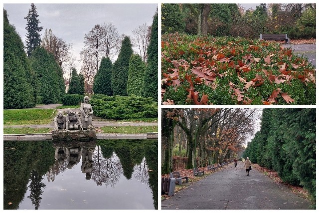 Park Planty jesienią jest piękny! Sprawdź sam.