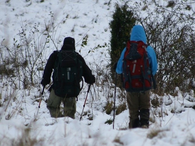 Zima na poloninach w BieszczadachNa bieszczadzkich poloninach śnieg i zima. Wychodząc w góry, koniecznie nalezy zabrac cieplą nie przewiewną odziez, rekawiczki, czapki i termos gorącej herbaty.