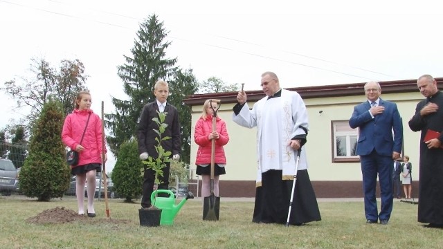 Uczniowie Szkoły Podstawowej imienia majora Henryka Dobrzańskiego razem z przedszoklakami posadzili przed szkołą dęba. Poświęcił go ksiądz dziekan Andrzej Zapart.