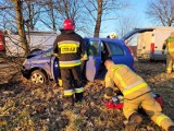 Pijany kierowca opla uderzył w drzewo. Miał ponad 2 promile. Wypadek w Nowych Polaszkach 1.03.2023. ZDJĘCIA