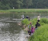 Piknik wędkarski dla najmłodszych już w niedzielę. Zabieraj wędkę i ruszaj na Wielobłota