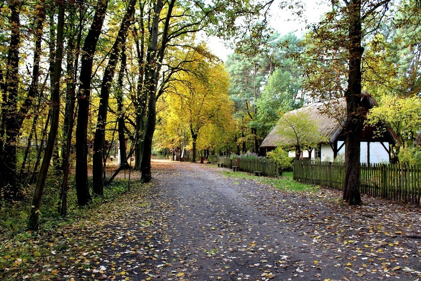 Skansen w Ochli to nie tylko imponujących rozmiarów teren...