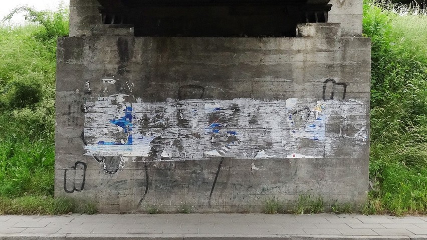 Nowy Sącz. Serial Mgr Morsa na ulicy Węgierskiej. Zobacz przegląd niezwykłych murali