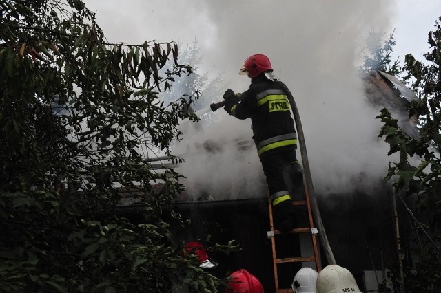 Pożar wybuchł w jednej z altan w podopolskim Winowie.
