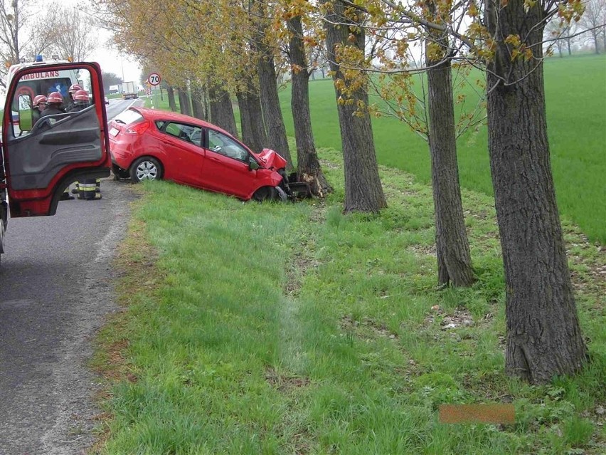 Kobieta ranna po uderzeniu forda fiesty w drzewo.