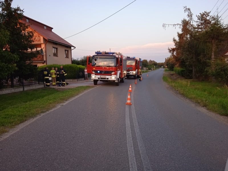 Pożar gasili strażacy ze Szczucina i Dąbrowy Tarnowskiej